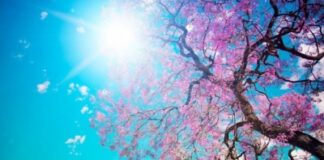 Meteo: sole e caldo per la festività del 25 aprile