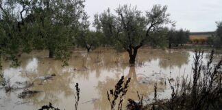Grandinate e piogge alluvionali a settembre scorso: la Giunta Regionale chiede lo stato di calamità