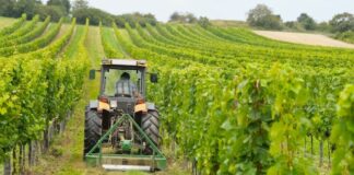 Acque irrigue, possibile aumento della dotazione unitaria per ettaro