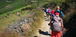 Mons. D’Ascenzo e seminaristi diocesani in pellegrinaggio verso Santiago