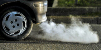 Smog, l’allarme di Coldiretti: basse percentuali di verde pubblico nei Comuni