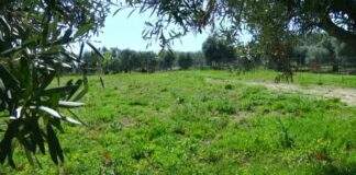Stop alle gite di primavera, un crack da 5 milioni di euro in Puglia