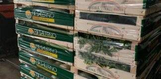 La famiglia Salerno di San Ferdinando dona 60 casse di verdura all’Unitalsi di Margherita di Savoia