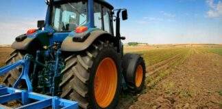 PSR Puglia: pronti 78 milioni di euro per 237 giovani agricoltori