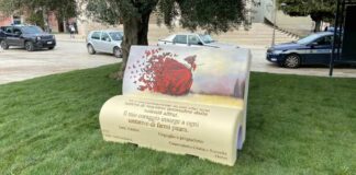 Panchina letteraria e patto antiviolenza, così San Ferdinando celebra l’8 marzo