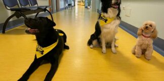 Pet Terapy a Minervino con gli amici a quattro zampe della “Docta Canis” di San Ferdinando