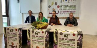 Presentata la rinnovata Fiera del Carciofo mediterraneo, Camporeale: «Occasione per il territorio»