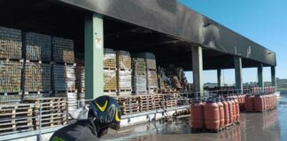 Incendio in azienda a San Ferdinando, Camporeale: «Solidarietà all’imprenditore colpito»