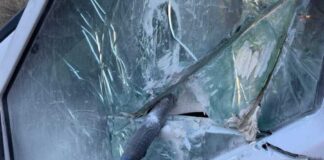 Sventato assalto a portavalori sulla statale 16 bis tra Barletta e Margherita di Savoia