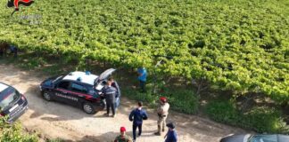 14 lavoratori “in nero” e sanzioni per due imprese di San Ferdinando