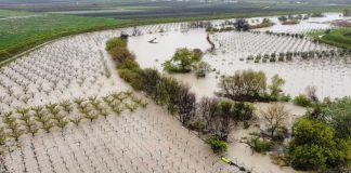 Grandinata di aprile, la Giunta regionale chiede la declaratoria dello stato di calamità